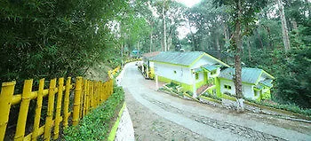 Woodpecker Holidays Munnar 3*,