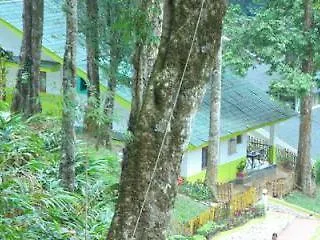 Woodpecker Holidays Munnar India